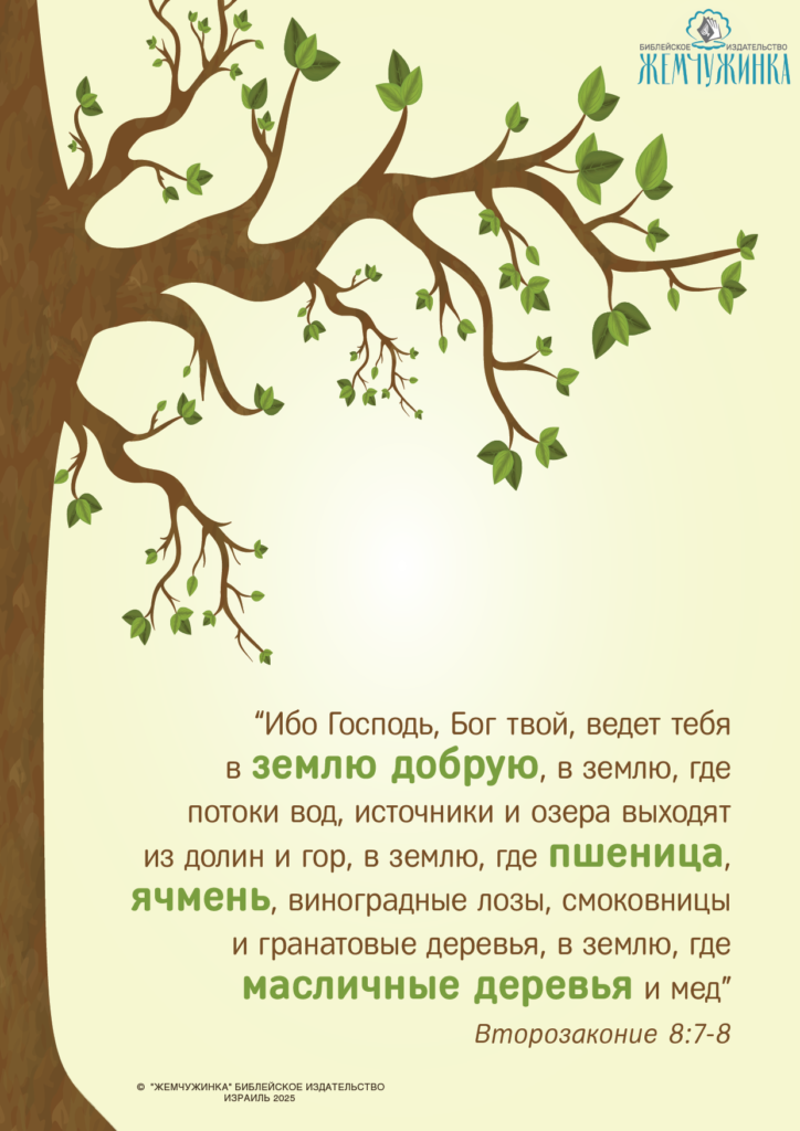 Второзаконие 8:7-8